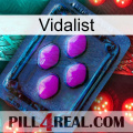 Vidalist 04